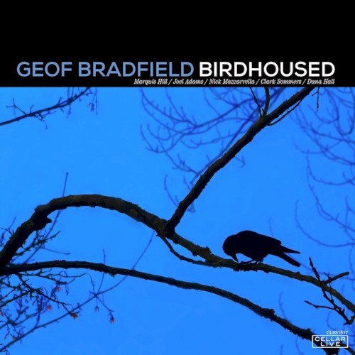 Birdhoused