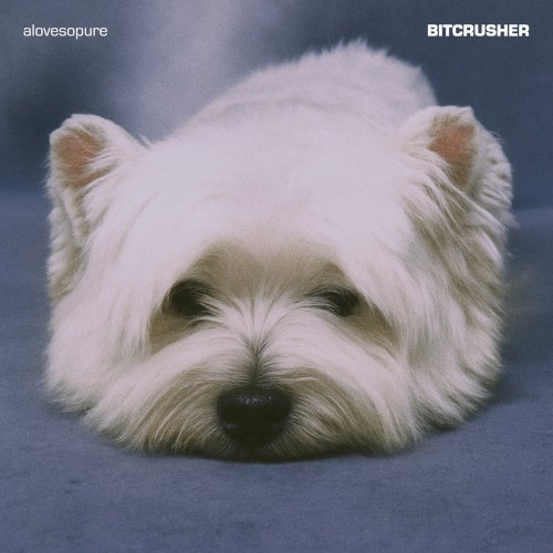alovesopure &ndash; BITCRUSHER