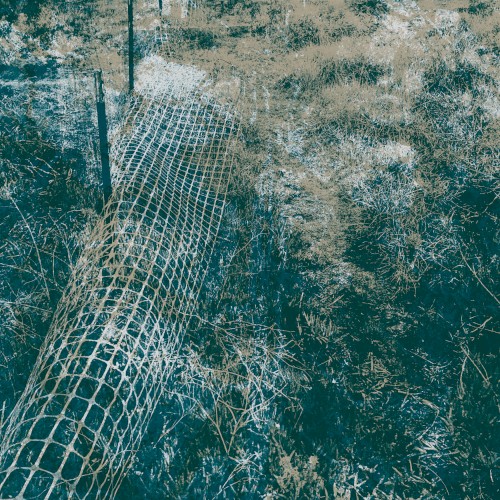 Ambulation