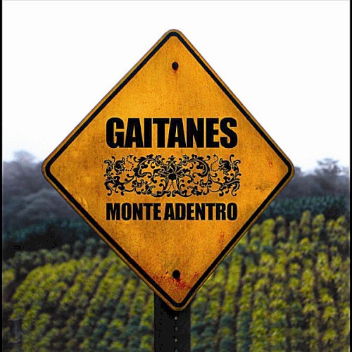 Monte adentro