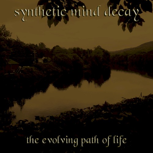 The Evolving Path of Life