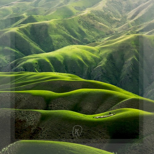 Landscapes