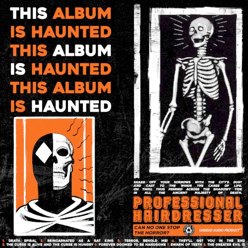 THIS ALBUM IS HAUNTED