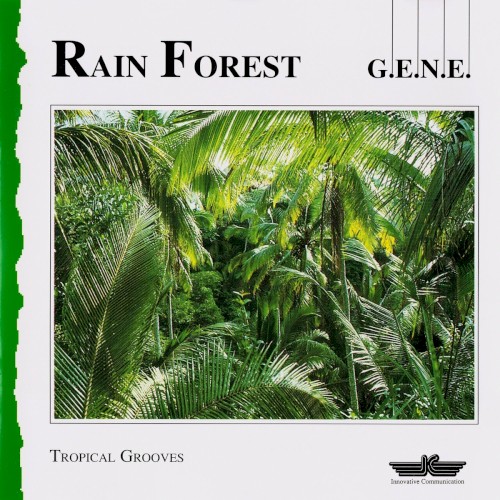 Rain Forest