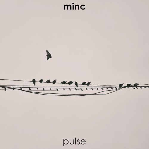 Pulse