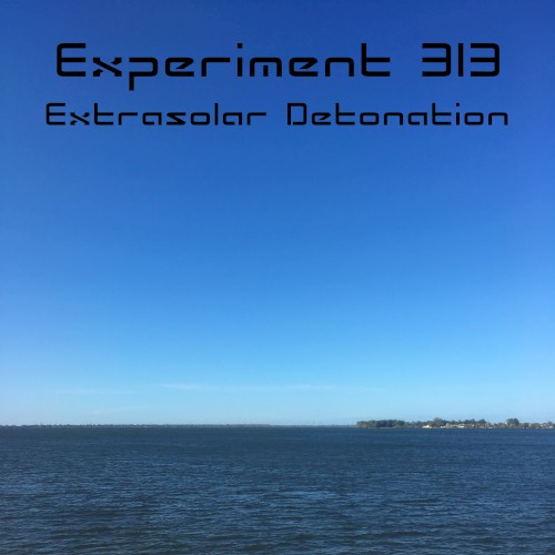 Experiment 313
