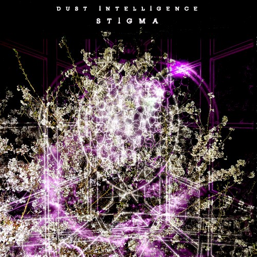 Dust Intelligence STIGMA