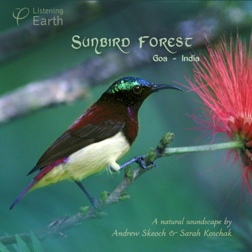 Sunbird Forest - Goa, India