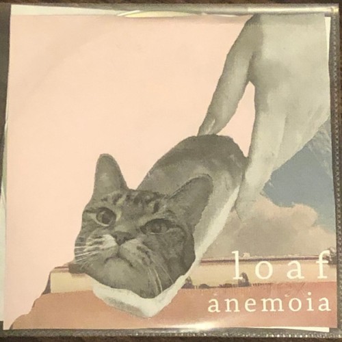 Anemoia