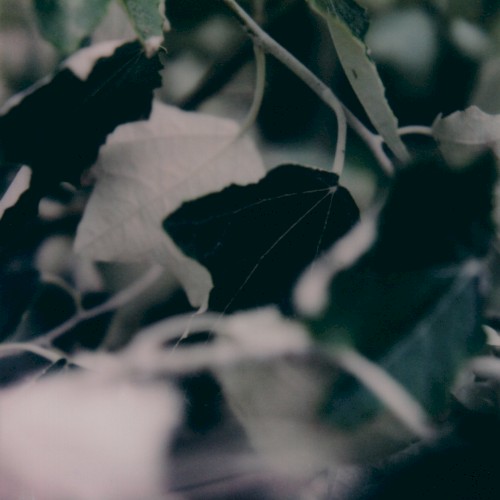 Underwritten II