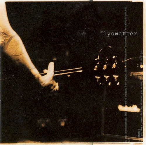 Flyswatter