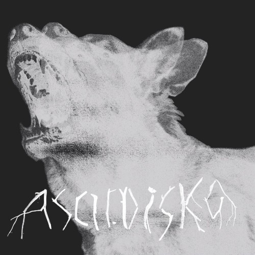 Moshpit Poetry