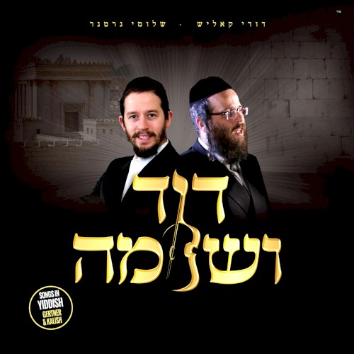 Dovid V'Shloime