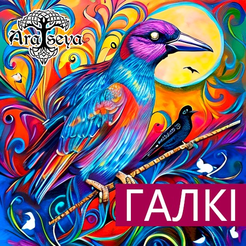 Галкі