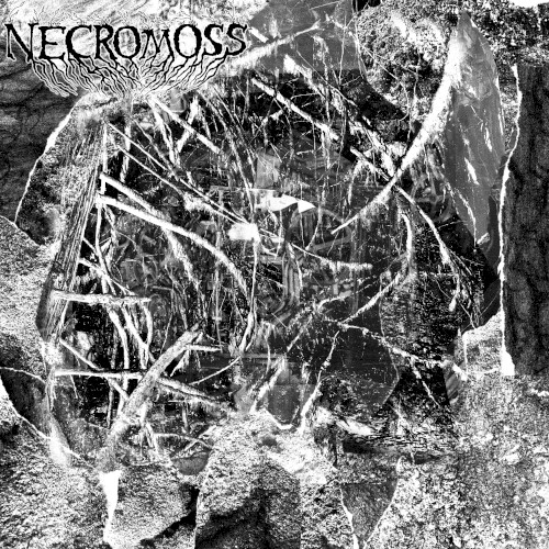 Necromoss