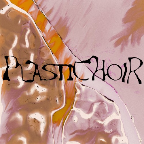 Plastichoir
