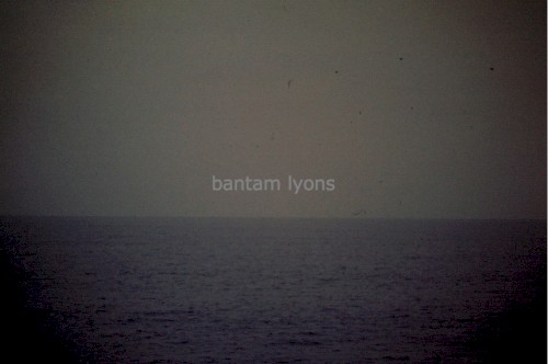 Bantam Lyons