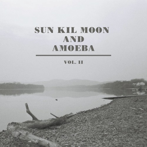 Sun Kil Moon and Amoeba, Vol. II