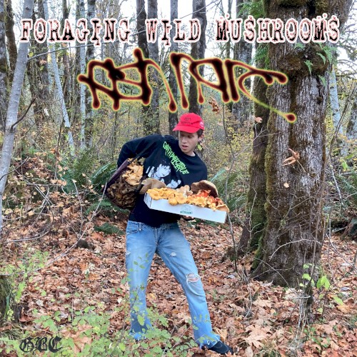 Foraging Wild Mushrooms
