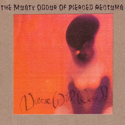 The Musty Odour of Pierced Rectums