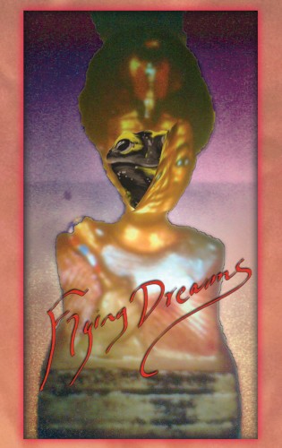 Flying Dreams