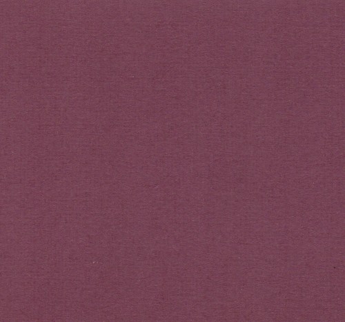Blank Tapes (2)