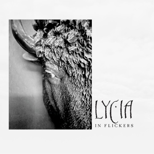In Flickers