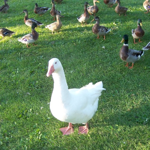 5512