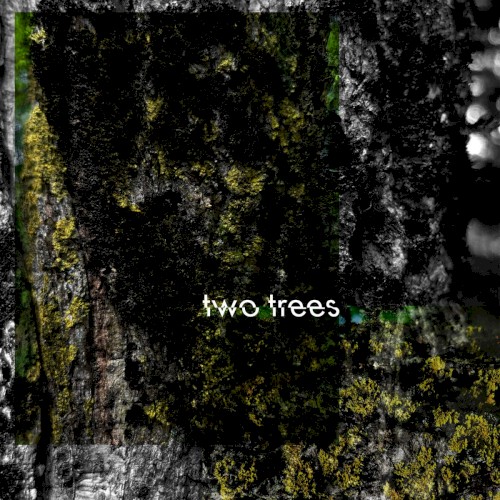 Two Trees
