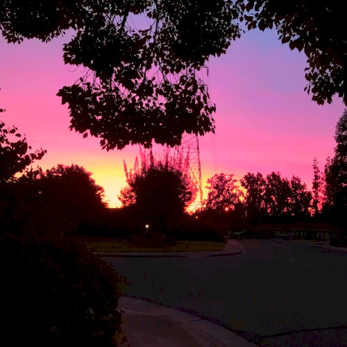Fruitland Avenue