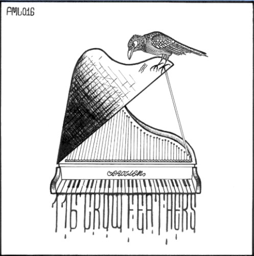 116 Crow Feathers