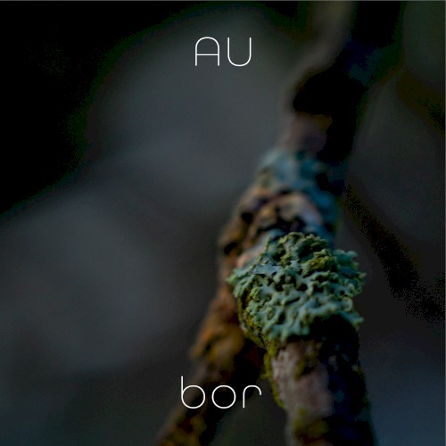 Bor