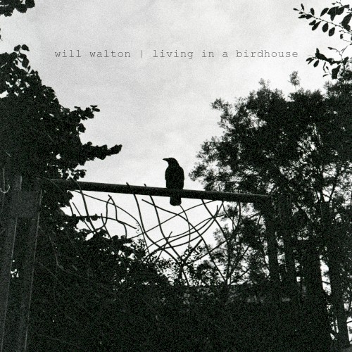 Will Walton &ndash; living in a birdhouse