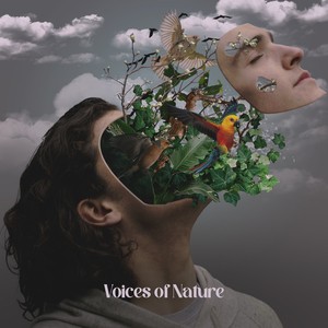 Voices of Nature