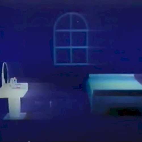 夜間誘導
