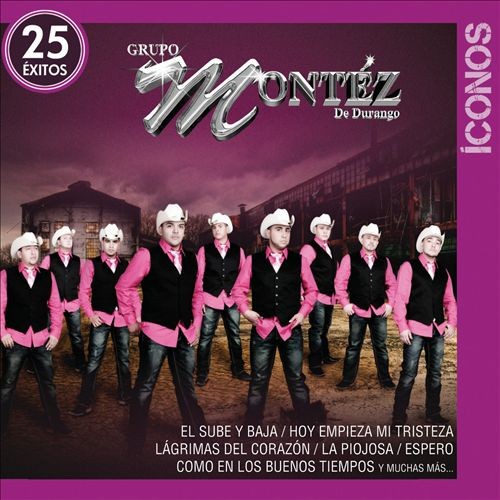 Íconos