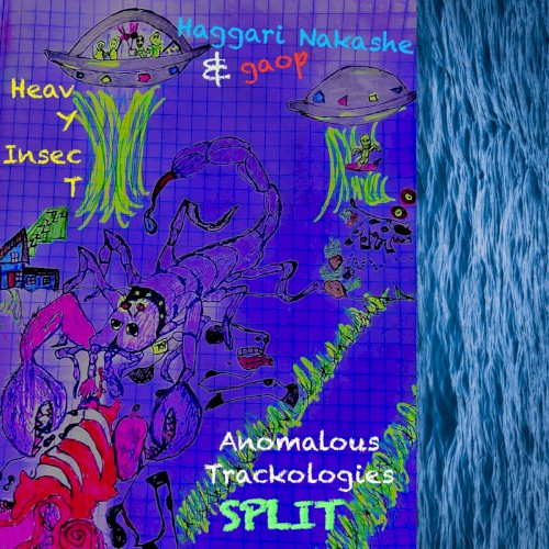Anomalous Trackologies Split