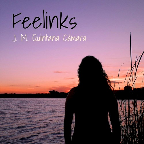 Feelinks