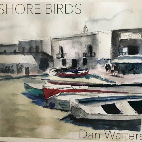 Shore Birds