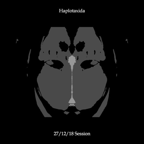 271218 Session