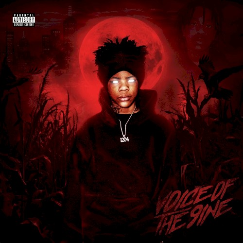 Voice of the 9ine