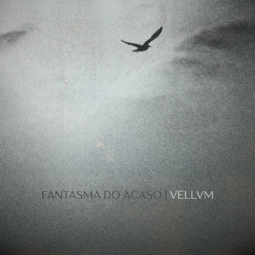 Vellvm | Fantasma do Acaso