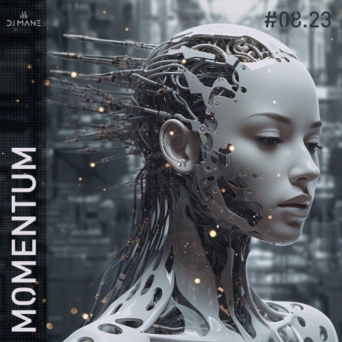 MOMENTUM