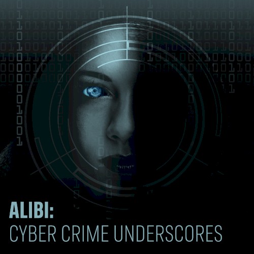 Cyber Crime Underscores