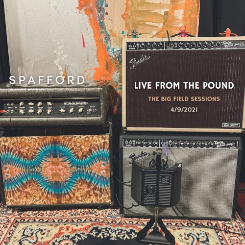 Live From the Pound: The Big Field Sessions