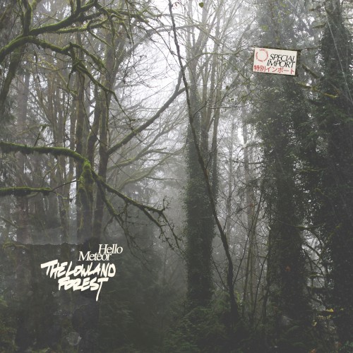 The Lowland Forest