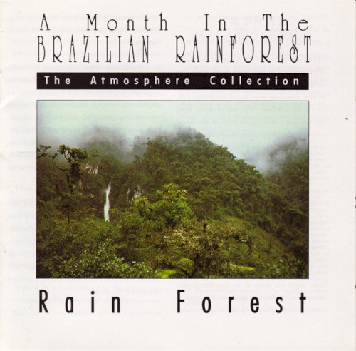 A Month in the Brazilian Rainforest: Rain Forest