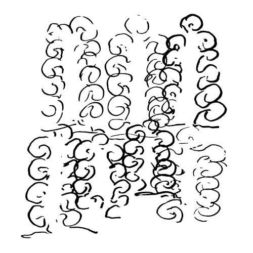 Apodelia