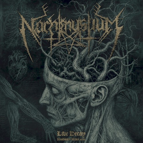 Live Decay: Roadburn Rites 2012