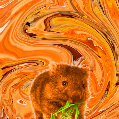 Wombat Noise